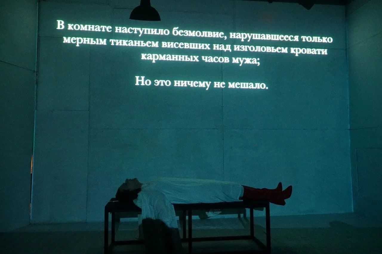Леди Макбет Мценского уезда — миниатюра 3